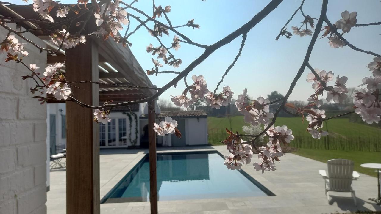 D'hotes - Au Clos D'amande Bed & Breakfast Lasne