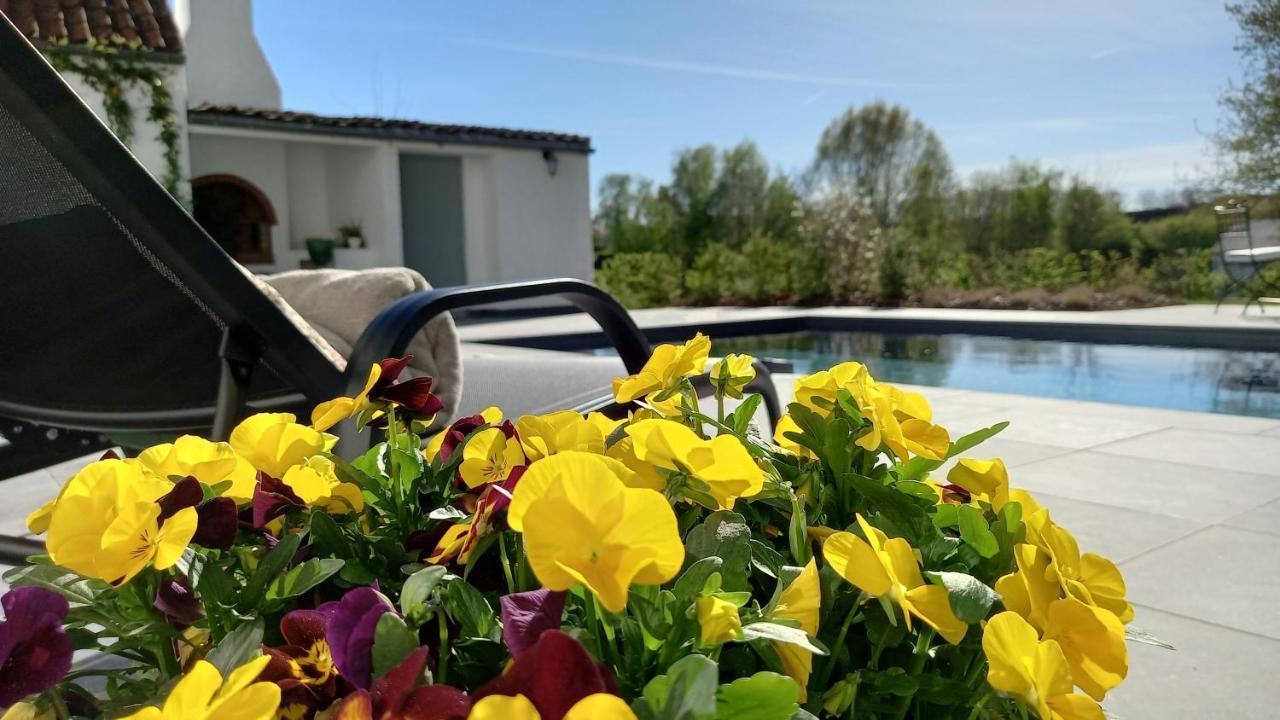 D'hotes - Au Clos D'amande Bed & Breakfast *