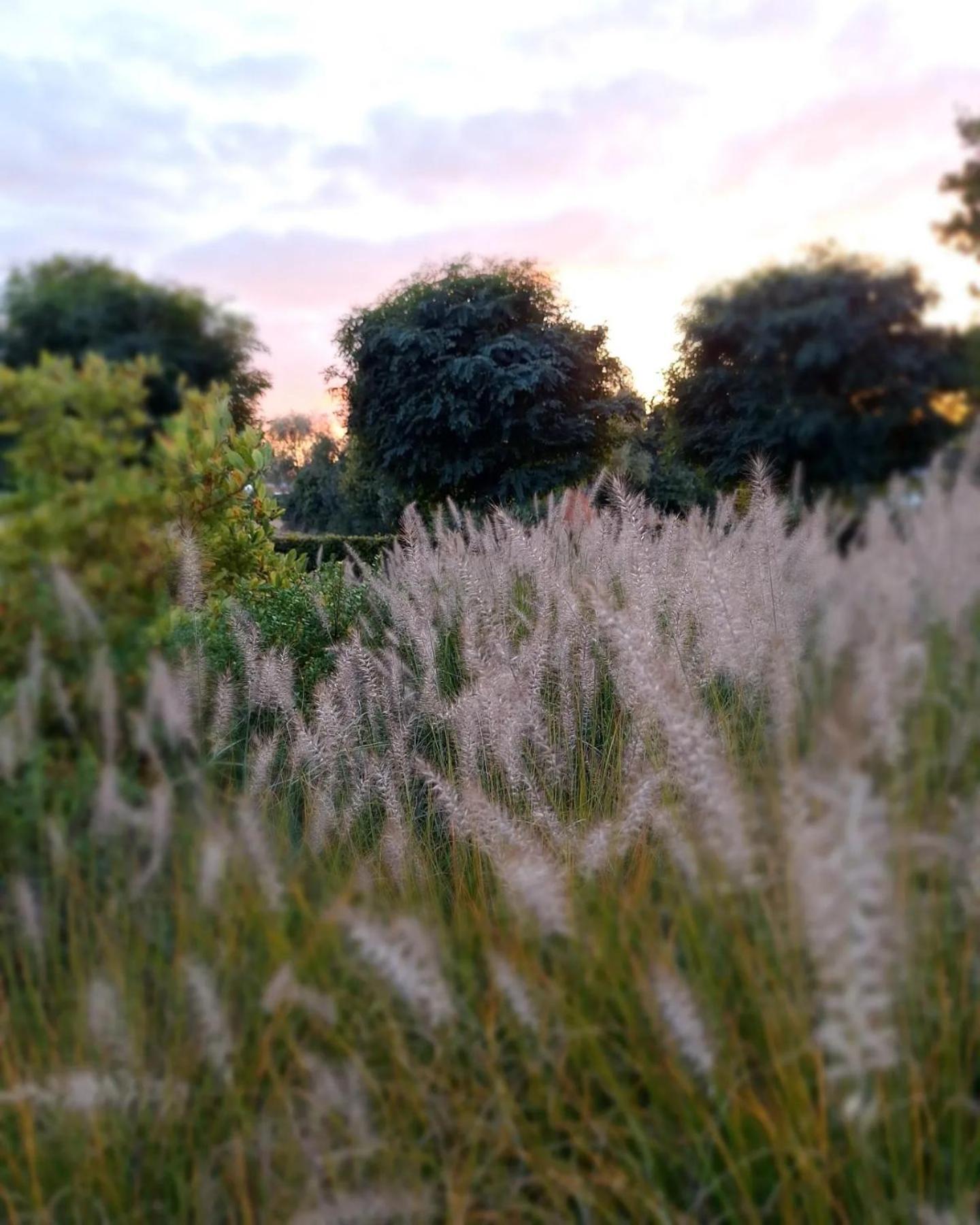 Bed & Breakfast D'hotes - Au Clos D'amande *